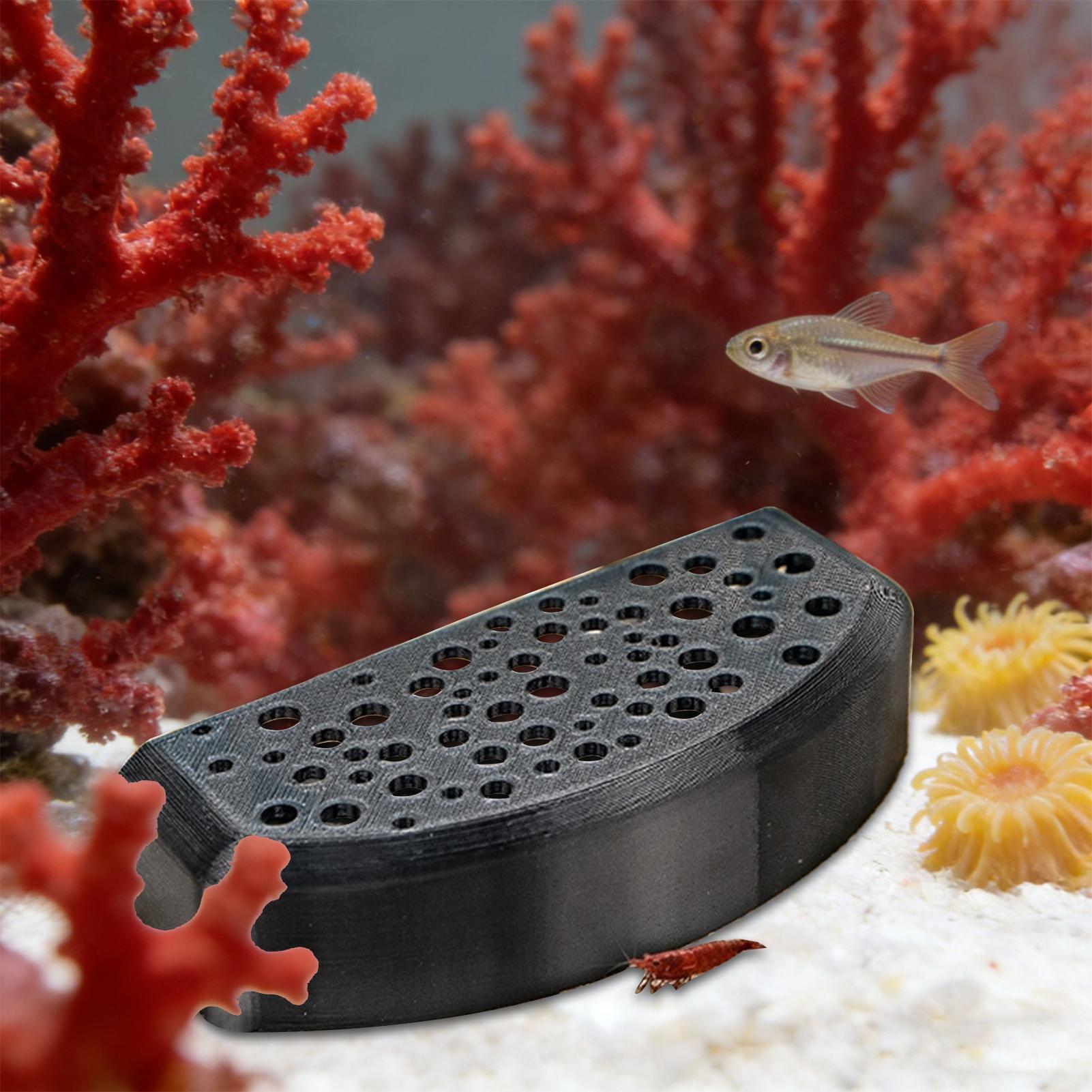 Aquatic Pet Rest Ornament Mult - Aquatic Zone review and price